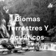 Explicación de los biomas Terrestres y Acuáticos.