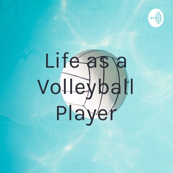 Life as a Volleyball Player Artwork