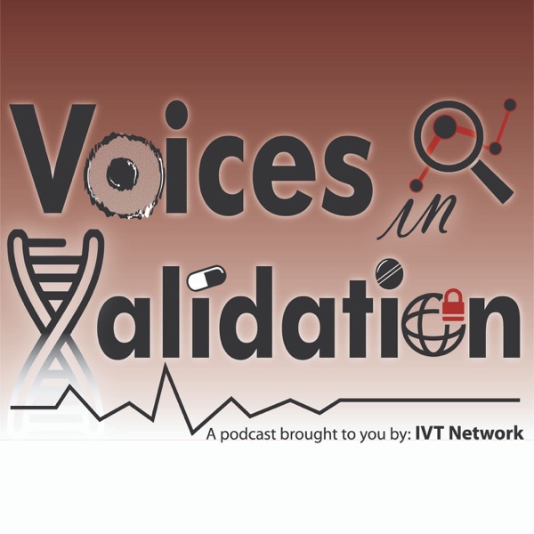 Voices In Validation Artwork