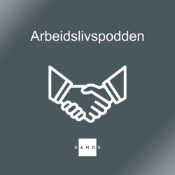 Konkurranseklausuler i arbeidsforhold