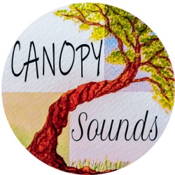 Canopy Sounds 68: Greg Naïro (LIVE)