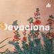 Devocional