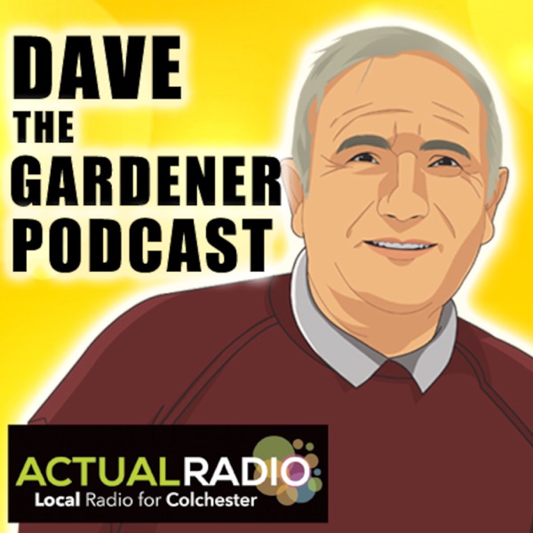 Dave The Gardener - Gardening Podcast from Actual Radio Artwork