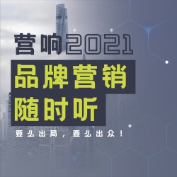 引响（四）：单品种草口碑飞轮