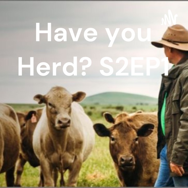 Have you Herd? S2EP1 Artwork