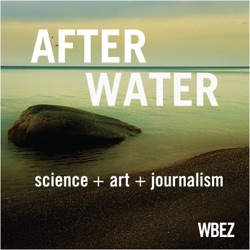 After Water: An interview with author Tricia Bobeda