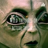 Wild theories or actual truths? artwork