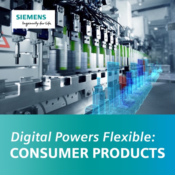 Digital Powers Flexible Podcast Artwork