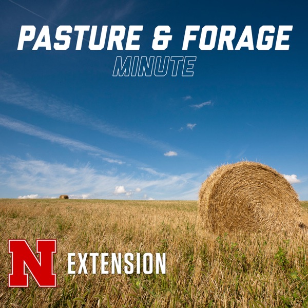 Pasture and Forage Minute Artwork