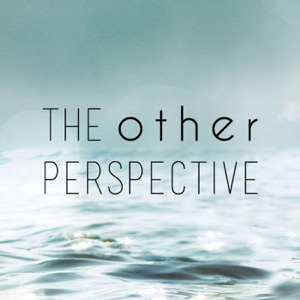 The Other Perspective