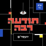 41 - יועצי סמים