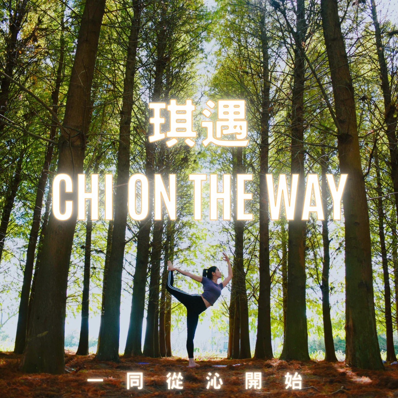 一同看羽锡gv – Podtail