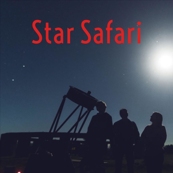 Star Safari Artwork