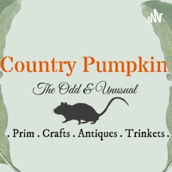 Country Pumpkin - Prim, Cottage Core Décor, The Odd and Unusual Artwork