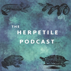 Welcome to the Herpetile Podcast