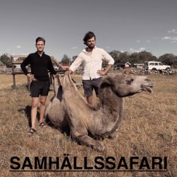 Samhällssafari