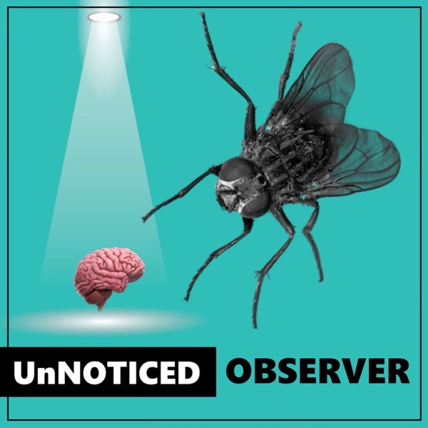 Unnoticed Observer - Listen to Real Group Therapy Artwork