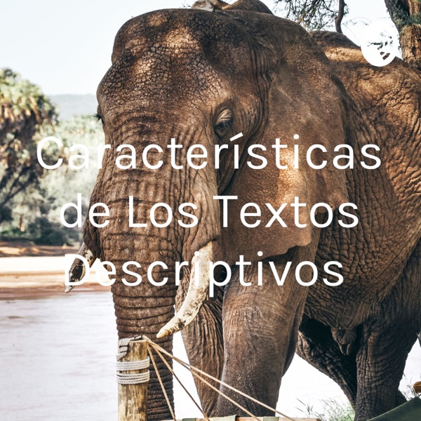 Características de Los Textos Descriptivos 