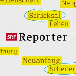 Reporter