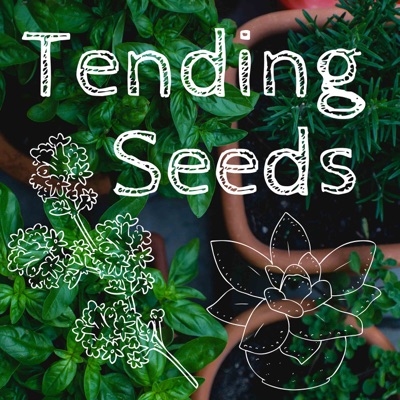 Tending Seeds: Adventures in Gardening, Homesteading, and Herbalism Tending Seeds: Adventures in Gardening, Homesteading, and Herbalism