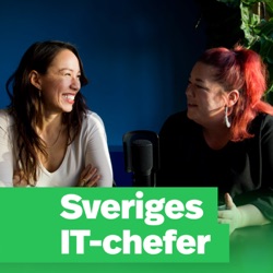 Den moderna IT-chefen med Magnus Andersson