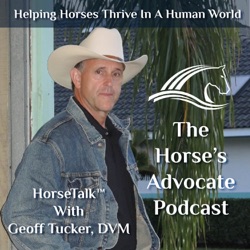 When Making Decisions About Feeding Horses, Choose Your Battles Wisely - #120 The Horse's Advocate Podcast