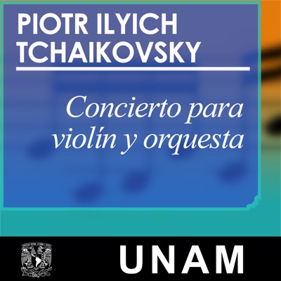 Concierto para violín y orquesta en re mayor. 3er movimiento Concierto para violín y orquesta en re mayor. 3er movimiento