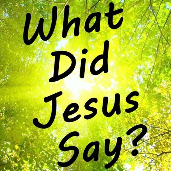 What Did Jesus Say? Artwork