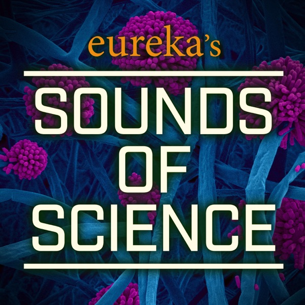 Sounds of Science Artwork