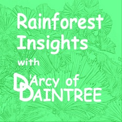 Rainforest Insights with DArcy of Daintree