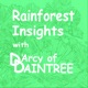Rainforest Insights with DArcy of Daintree