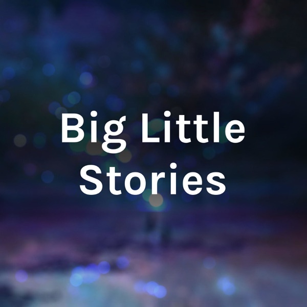 Big Little Stories