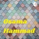 The History Buff Podcast (Osama Hammad)
