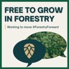 Free to Grow in Forestry