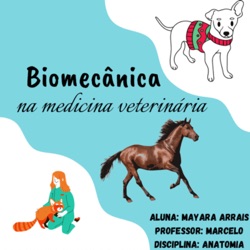 Biomecânica na medicina veterinária 