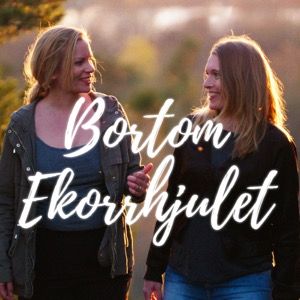 Bortom ekorrhjulet