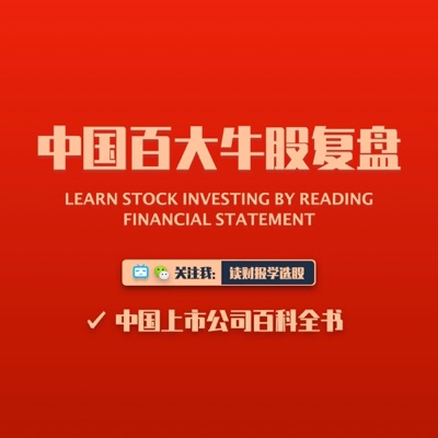 中国百大牛股复盘