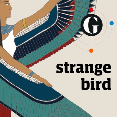 Strange Bird