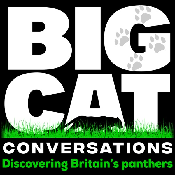 Big Cat Conversations Artwork