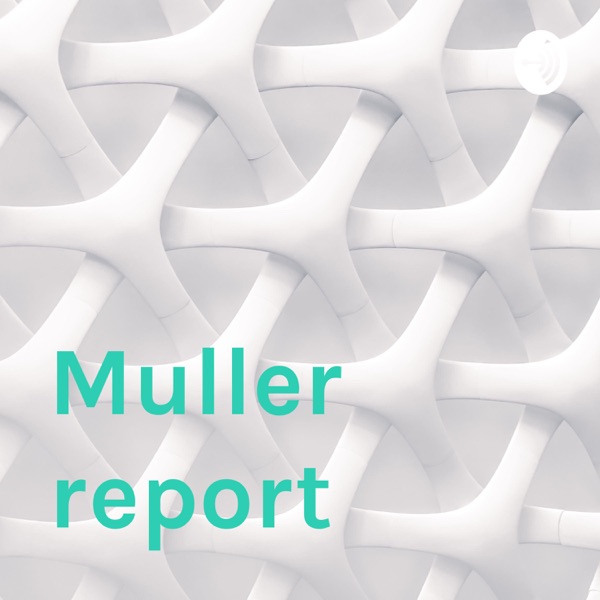 Muller report