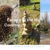 Escape to the High Country...                                                        artwork