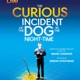 The Curious Incident of the dog