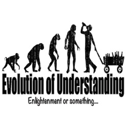 The Evolution of Understanding