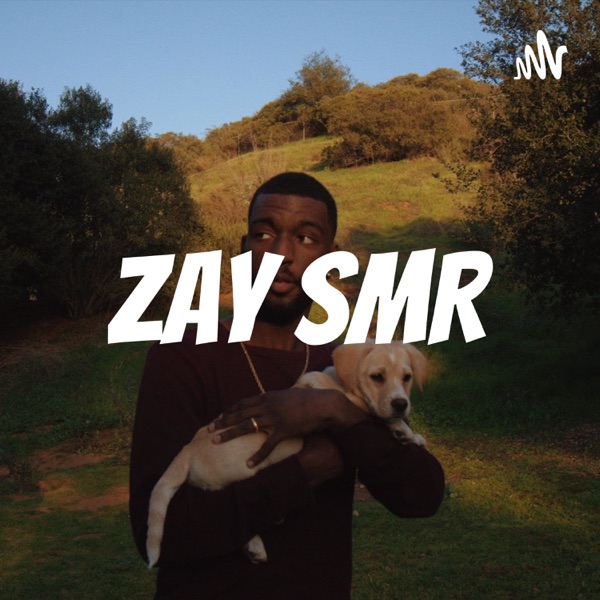 ZAY-SMR Artwork