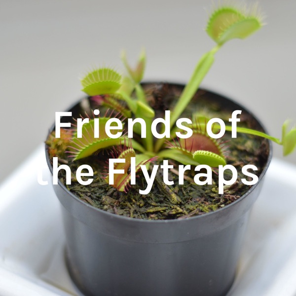 Friends of the Flytraps Artwork