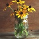 Planting Sunflower Seeds in a Flower pot