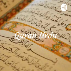 Quran Urdu - Syed Maududi R.A - Mishary Bin Rashid Alfasy 