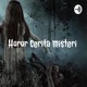 Horor cerita misteri 