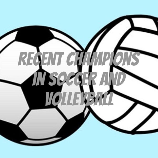 Recent Champions in Soccer and Volleyball Artwork