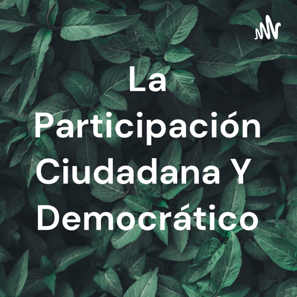 La Participación Ciudadana Y Democrático